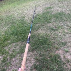 Shimano Inshore Rod