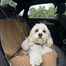 Backseat  Dog Cover Bed
