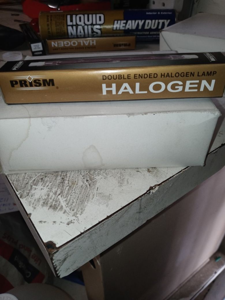 Halogen lamp
