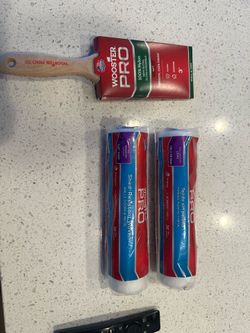 Brand new paint brush and roller