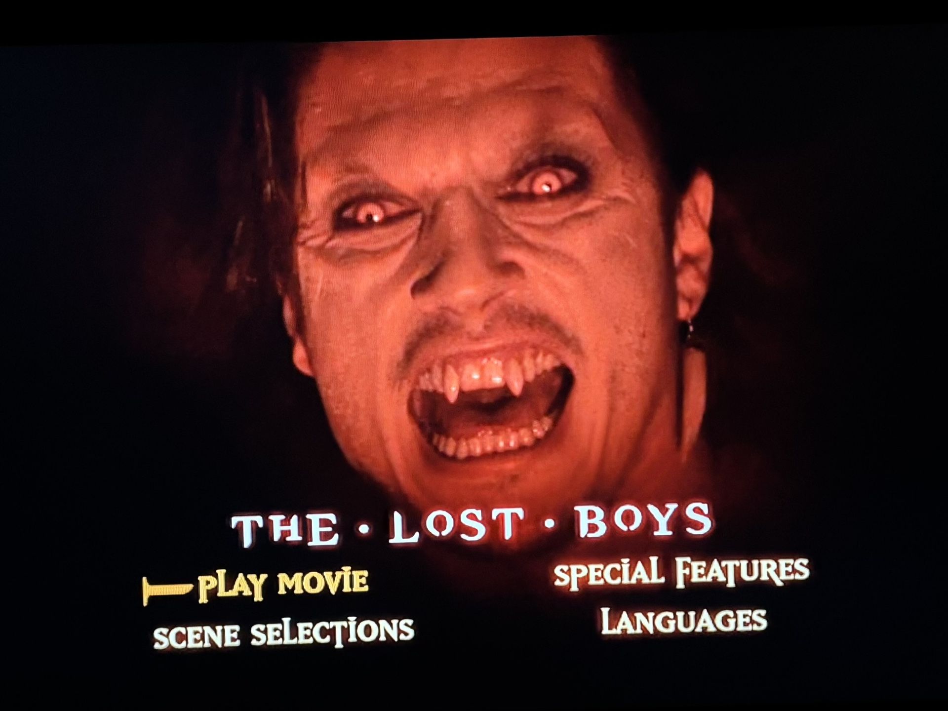 The Lost Boys DVD Joel Schumacher 2 Disc Set with Commentary and Special Features Hard Case