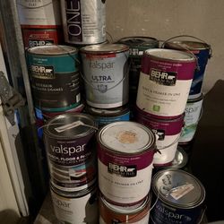 GALLON PAINTS $10 Each