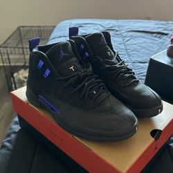 Jordan 12s Dark concord 