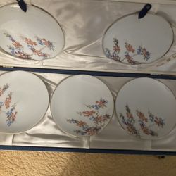 5 Asian 5” Plates Ina Vinyl Case