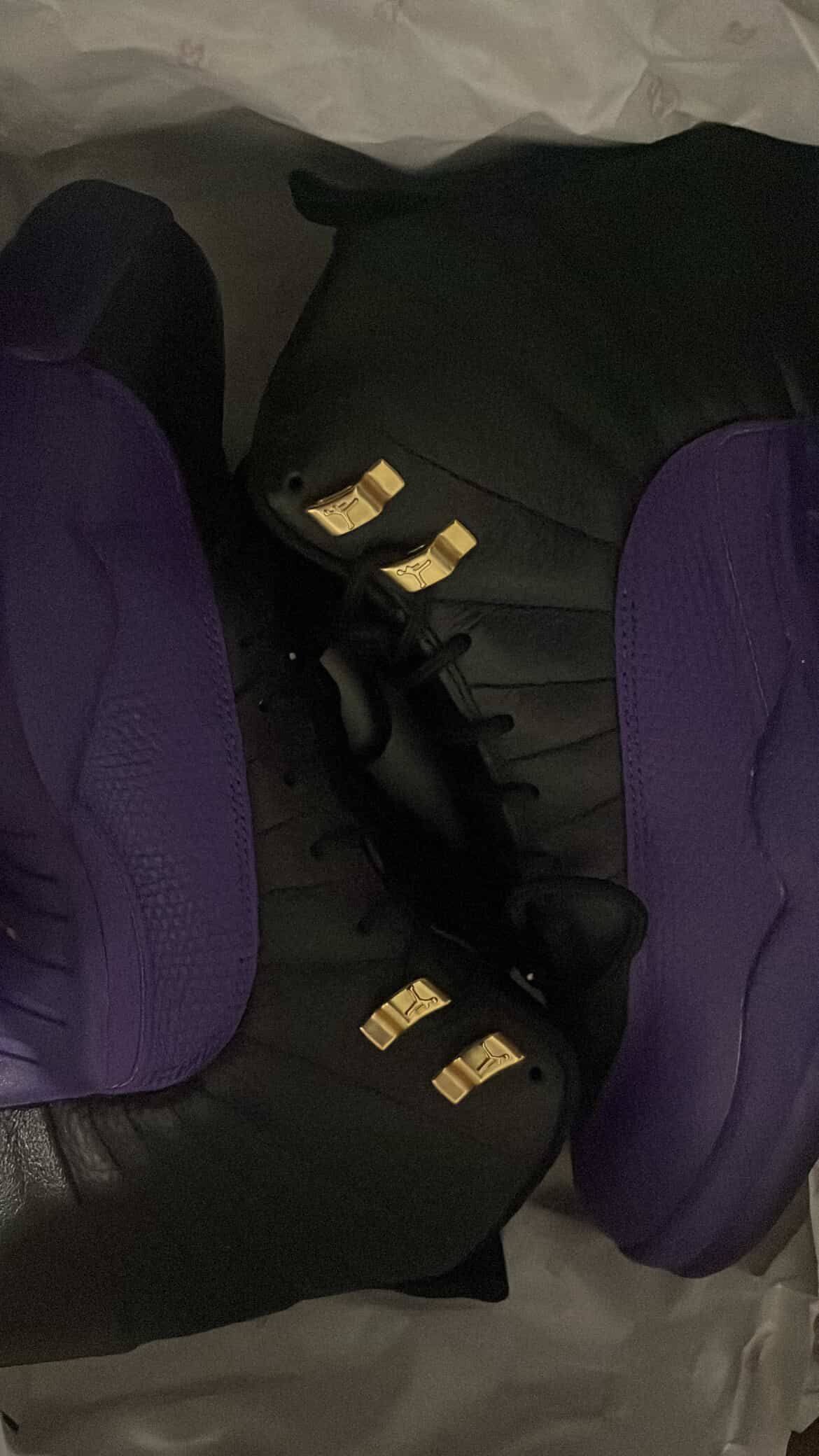 Air Jordan 12 Retro Purple 9.5