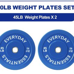 45lb weight plates(pair)