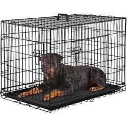 🐶🐶Juala Mediana Para Perro 🐕 