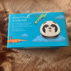 Echo Dot