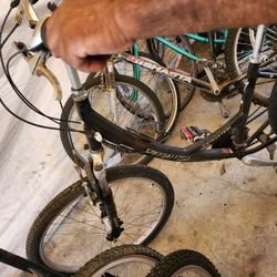 Specialized Cruiser For Women 