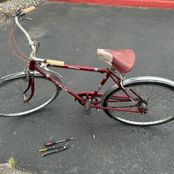 Boy And Girl 1976 Schwin Bike