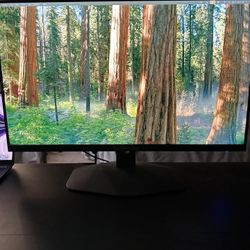 Sceptre 24" 100Hz Gaming Monitor- Like New