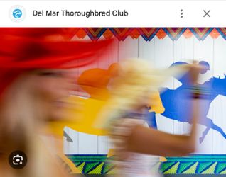 Delmar opening day thoroughbred races