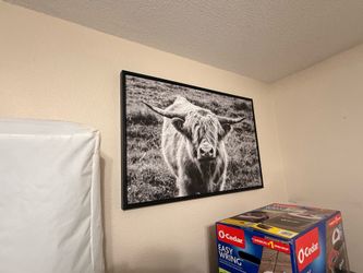 Highland Cow "Staring Contest" by photographer Nathan Larson for Amanti Art.