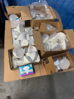 Large Lot of Assorted LED Light Bulbs