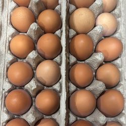 Farm Fresh Eggs 