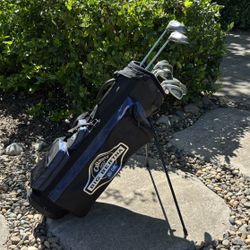 LH Women’s Callaway X-12 Ladies Gems Golf Set (Driver+3w+4i-pw+sw+putter+stand bag)