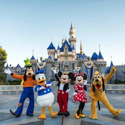 Disney Tickets For Sale 