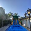 Summer Fun!