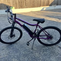 Electric Bike Goes 20 Mph 