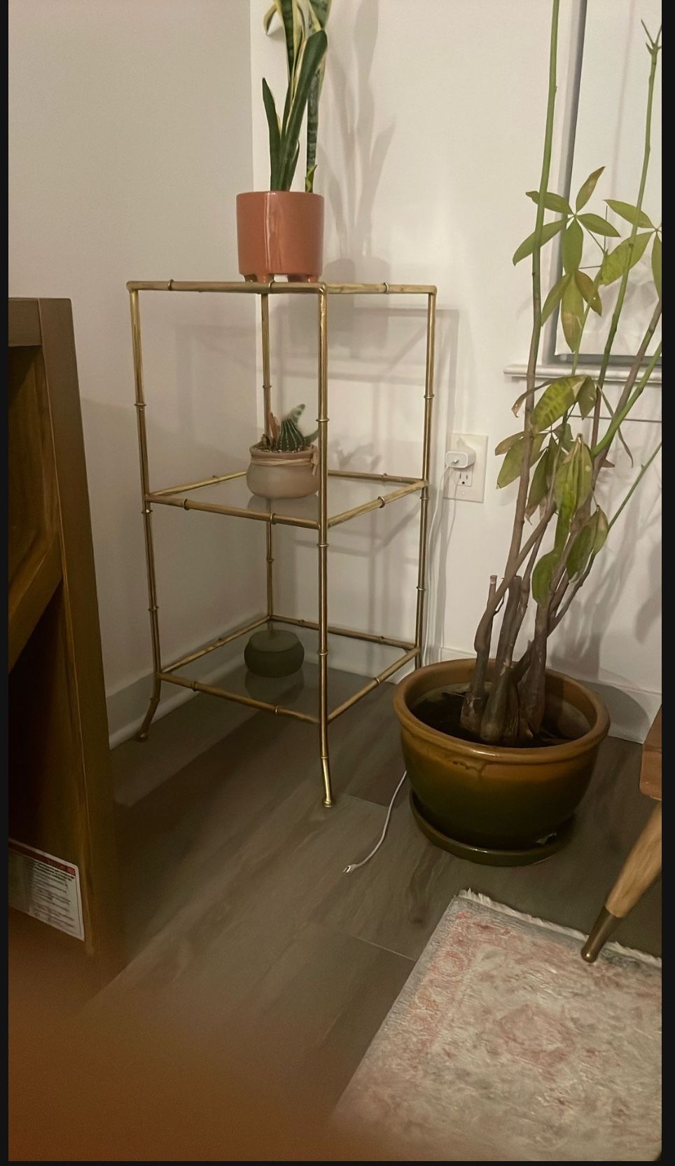 Golden Glass Shelf