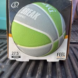 Spalding Basketball