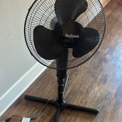 Holmes Fan 
