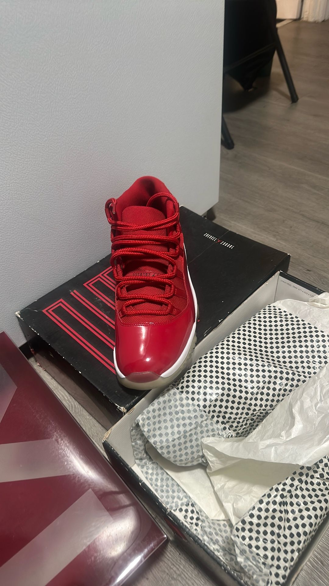 Air Jordan Retro 11s