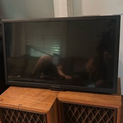 22 Inch TV Amazon Smart Insignia Tv