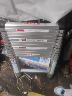 Telesteps ladder