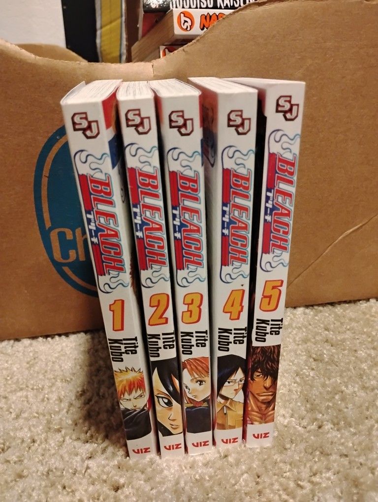 Bleach Manga Volumes 1-5