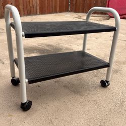 Free 2Tier Metal Shelves On Wheels