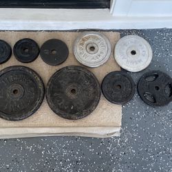 1in Gym Plate Set