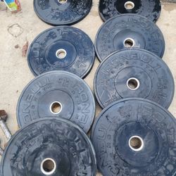 Bumper Plate Set