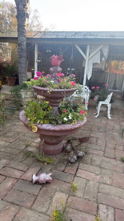Water fountain with plants
