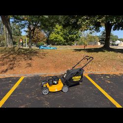 Dewalt lawnmower