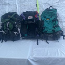  3 Backpacks. REI.. Sundown… Gregory