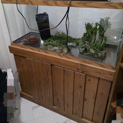 Fish Tank