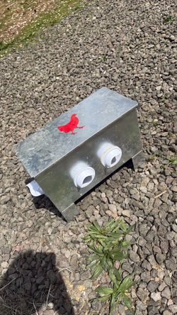 Metal chicken feeder
