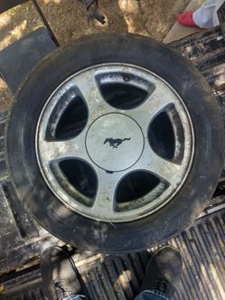 Mustang Rimes