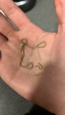 10k gold