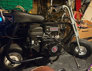Mini bike cat 300x