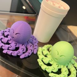 Fidget Toys