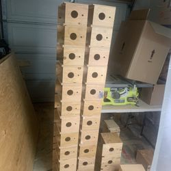 parakeet nest 3 