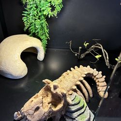 Huge glass tank cheap$200