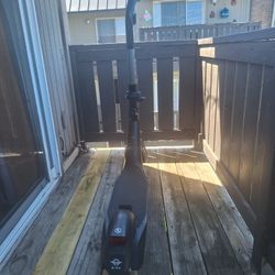 Bird Electric Scooter 