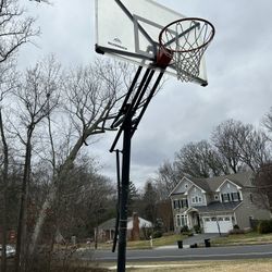 Silverback NXT 54” basketball hoop