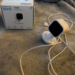 Blink Camara