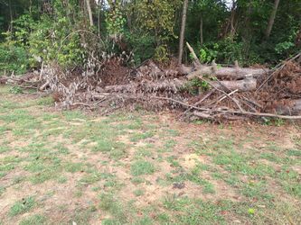 Free Firewood