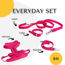 Dog Harness, Collar, Leash 