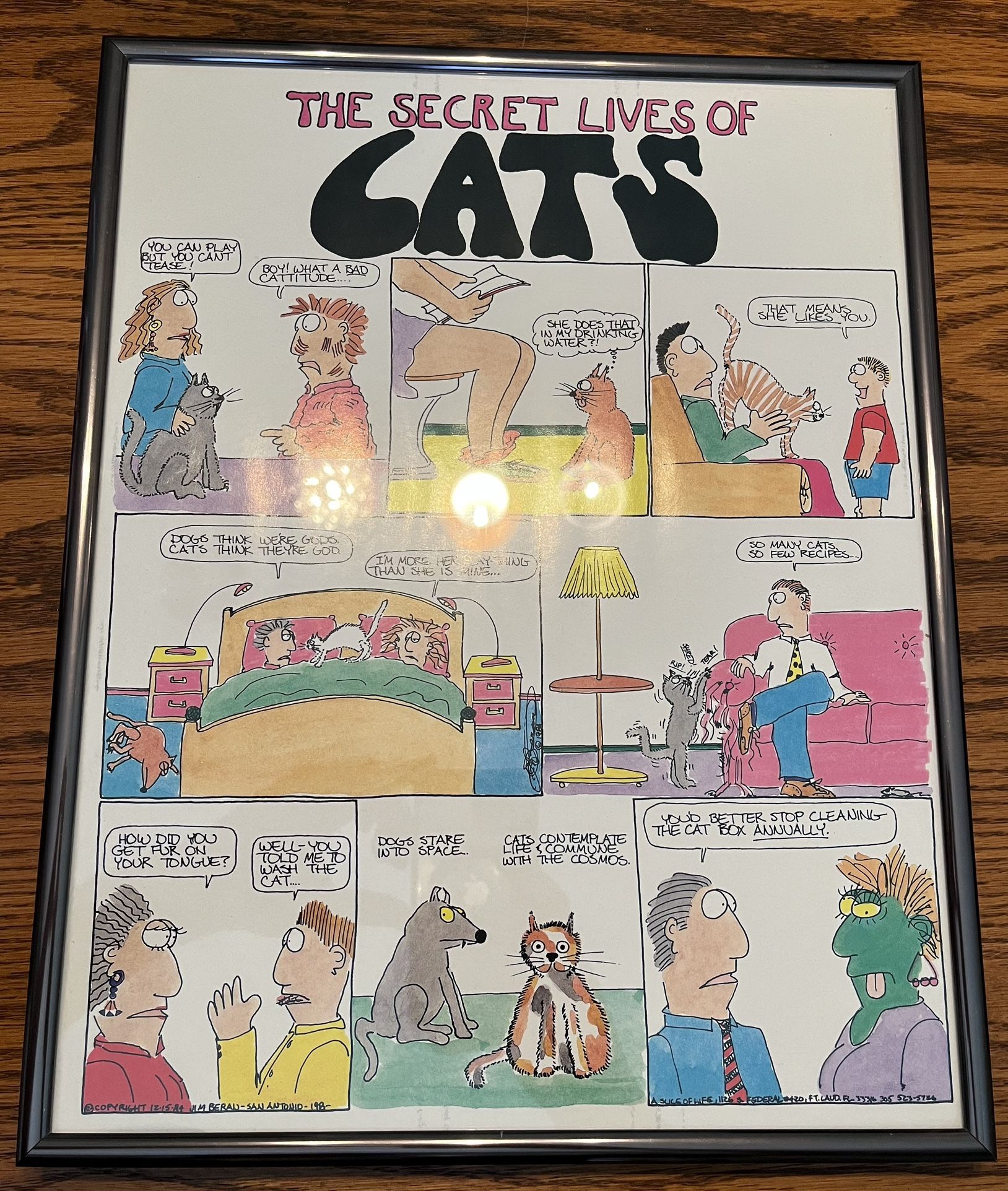 The Secret Lives Of Cats Poster